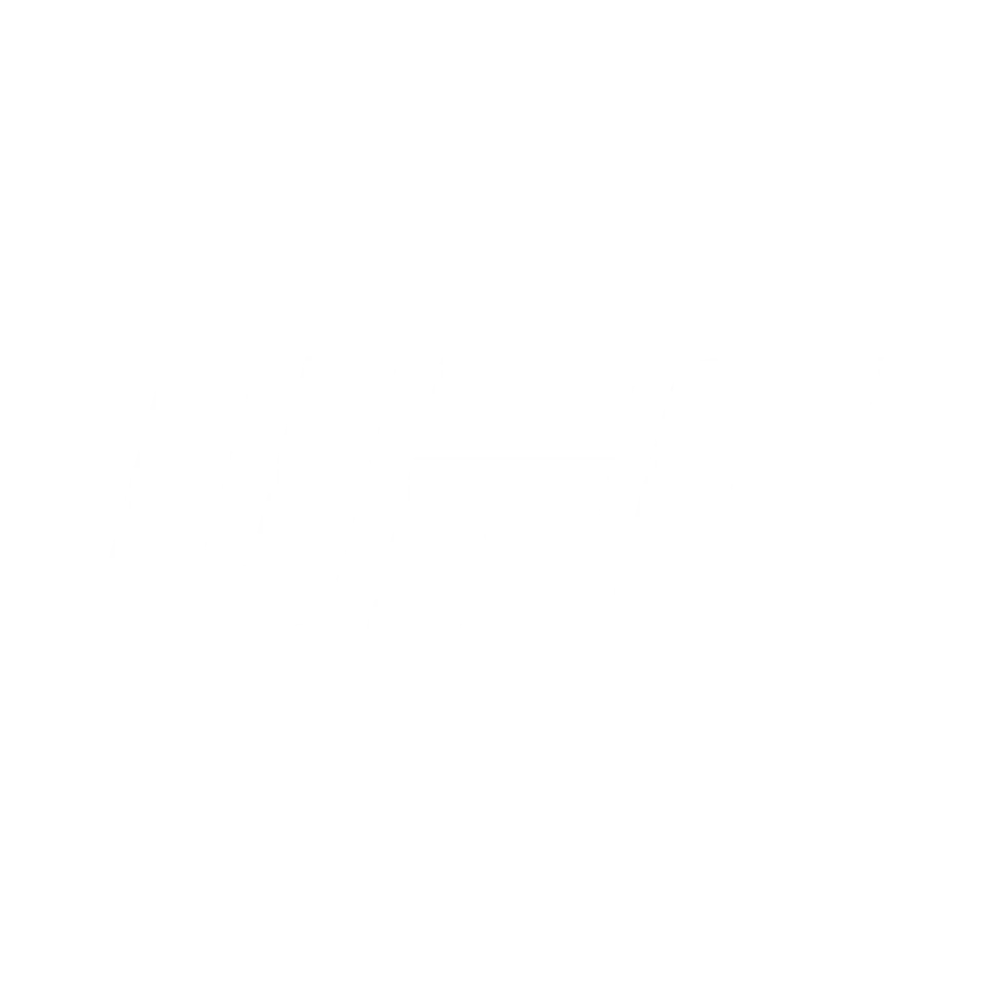 [citypng.com]ufc ultimate fighting championship white logo 2500x2500