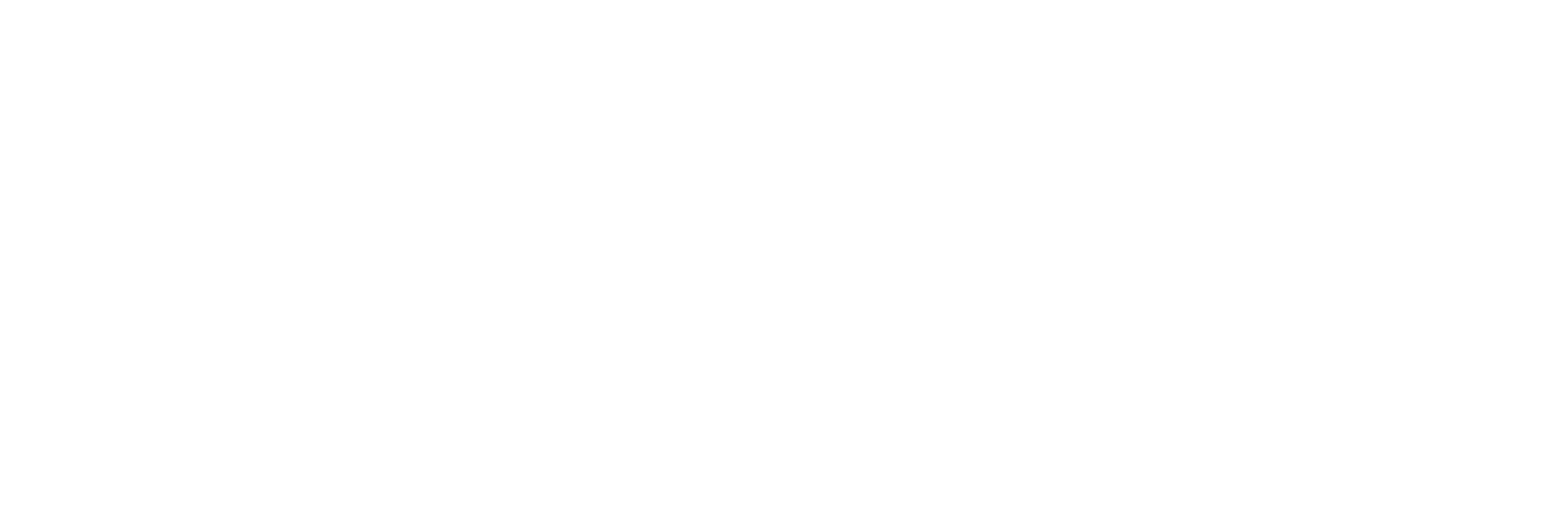 laliga rgb h monocromatico negativo